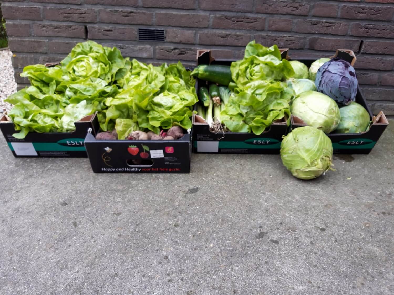 Opbrenst Diaconale Kerktuin Oktober 